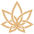 3Chi